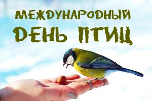 Read more about the article 1 апреля — Международный день птиц