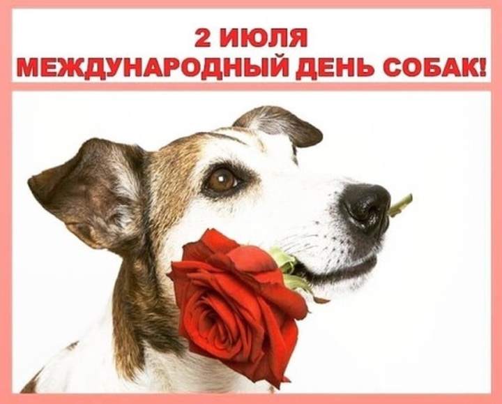 Read more about the article 2 июля — Международный день собак